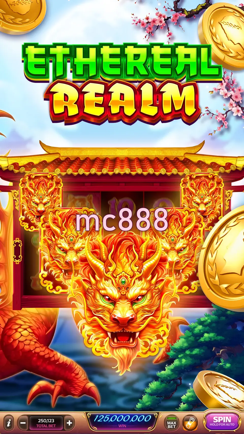 mc888 Masuk